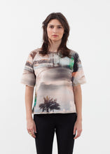 Load image into Gallery viewer, Pat Raglan Tee