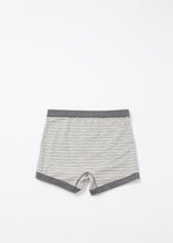 Load image into Gallery viewer, Grand Trunk